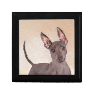 Xoloitzcuintli Painting - Cute Original Dog Art Gift Box