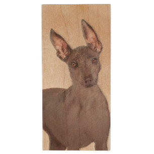 Xoloitzcuintli Painting - Cute Original Dog Art Wood Flash Drive