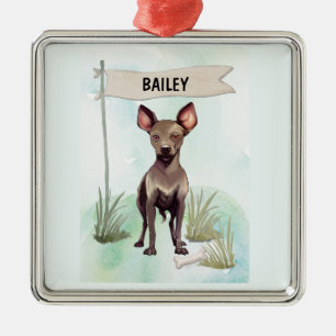 Xoloitzcuintli Watercolor Personalized Dog Metal Ornament