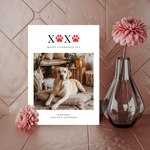 Xoxo Pawprint Retriever Funny Dog Photo Valentines Holiday Card