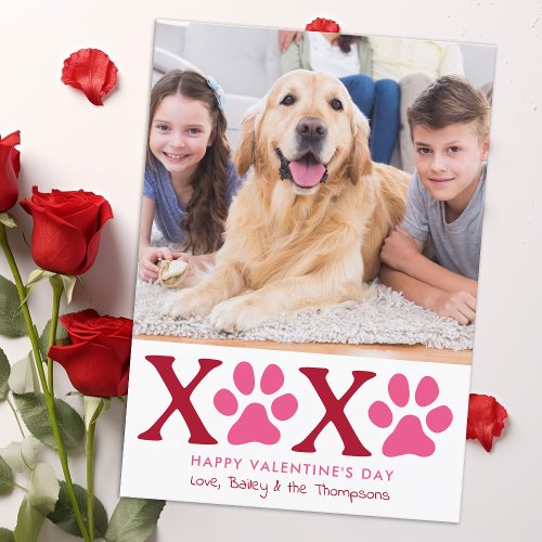 XOXO Valentines Day Cute Custom Pet Dog Photo Holiday Card