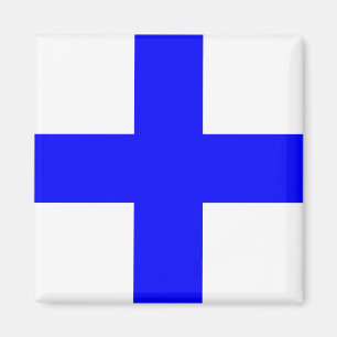 XRAY BLUE CROSS MAGNET
