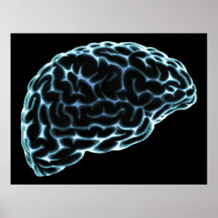 XRAY BRAIN SIDE VIEW BLUE POSTER