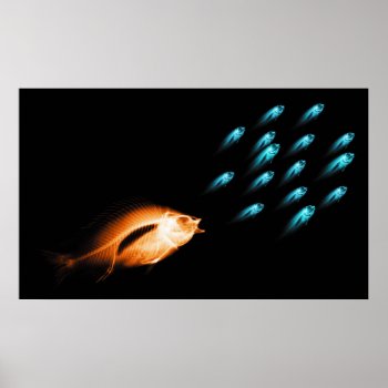 Xray Fish Chase Black Original Poster by VoXeeD at Zazzle