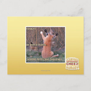 Xtreme PattyCake Challenge Postcard