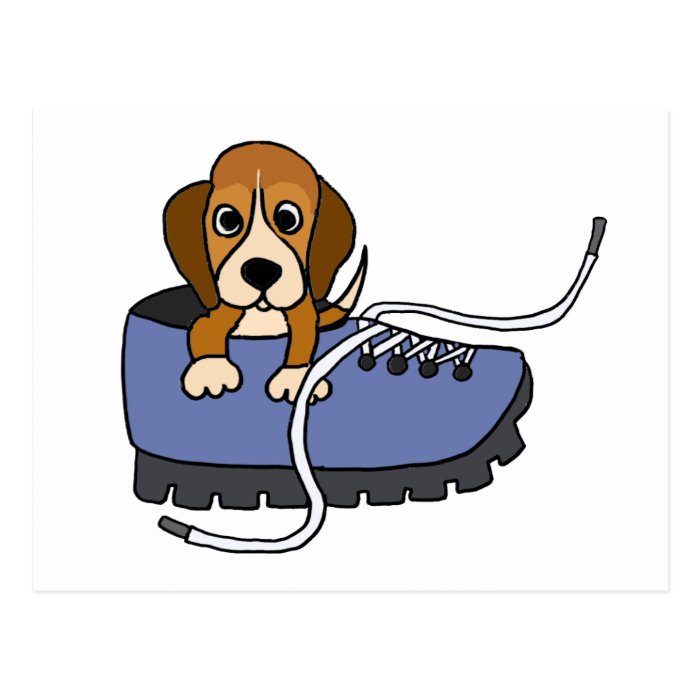 XX  Beagle Puppy Dog in a Shoe Cartoon Post Card
