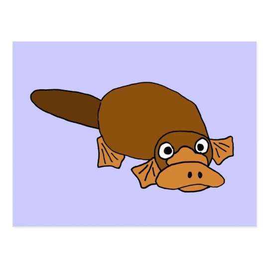 cartoon duck billed platypus cartoon duck billed platypus