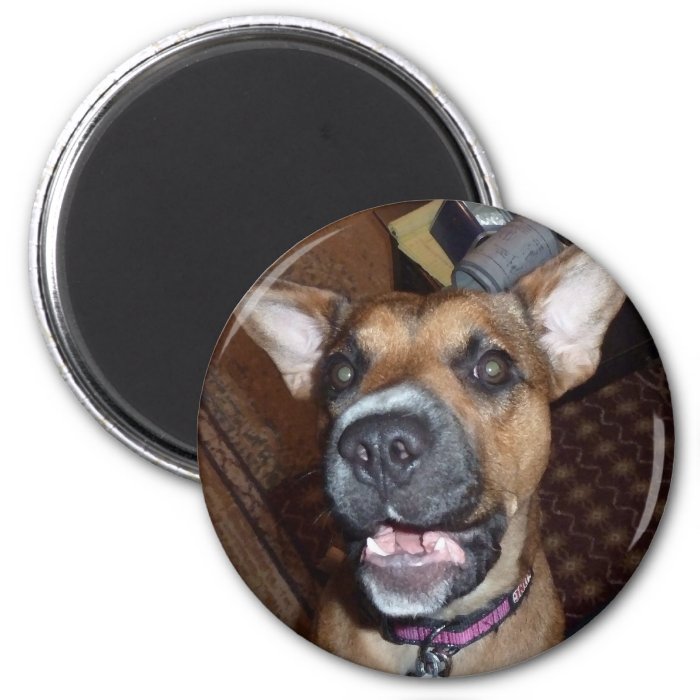 XX  Funny Demonic Bat Eared Puppy Dog Magnet