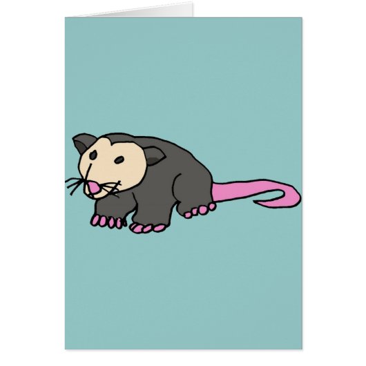 XX- Funny Possum Cards (Front)
