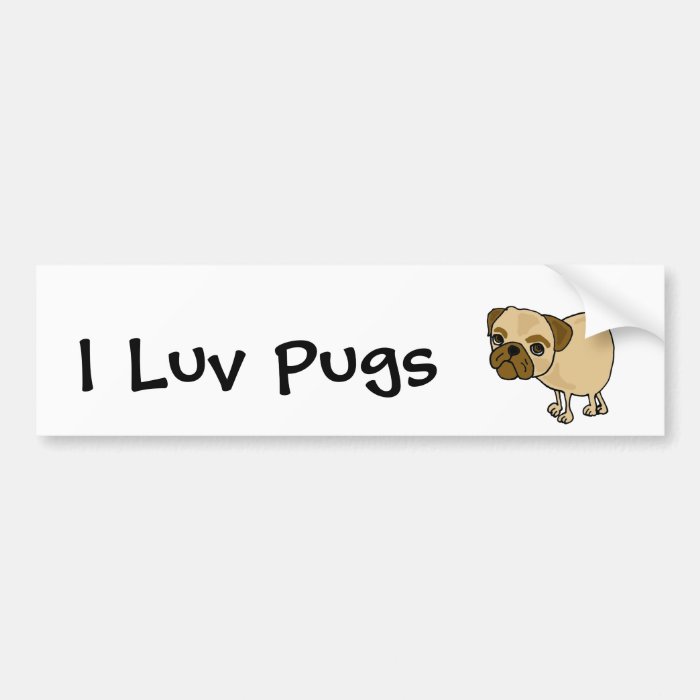 XX  Funny Pug Puppy Dog Cartoon Bumper Stickers