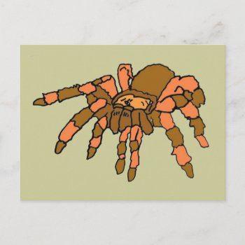 Xx- Hilarious Tarantula Spider Postcard by naturesmiles at Zazzle
