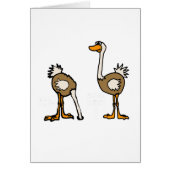 XX- Ostriches in Sand (Front)