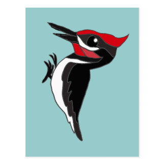 pileated woodpecker cartoon