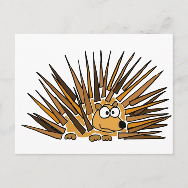XX- Porcupine Art Cartoon Postcard (Front)