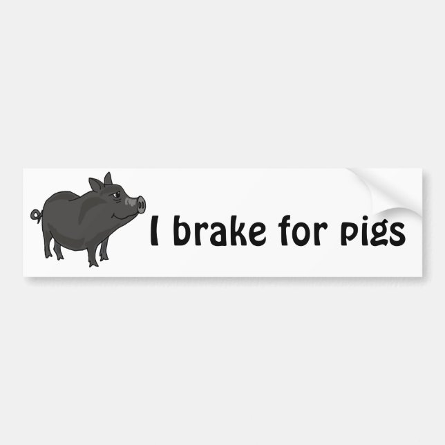XX- Pot Bellied Pig Cartoon Bumper Sticker (Front)