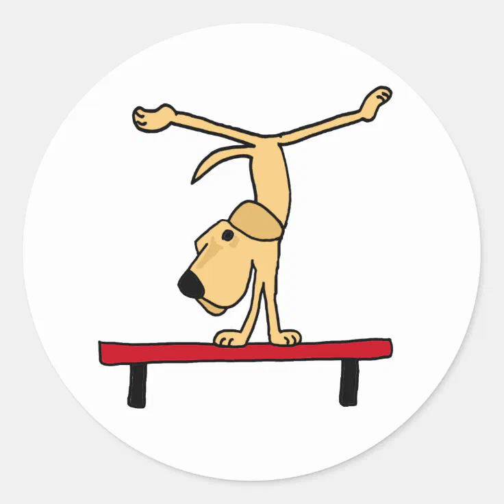 XX- Yellow Labrador on Balance Beam Cartoon Classic Round Sticker | Zazzle