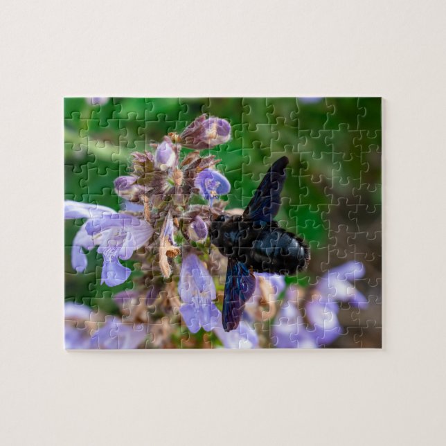 Xylocopa violacea jigsaw puzzle (Horizontal)