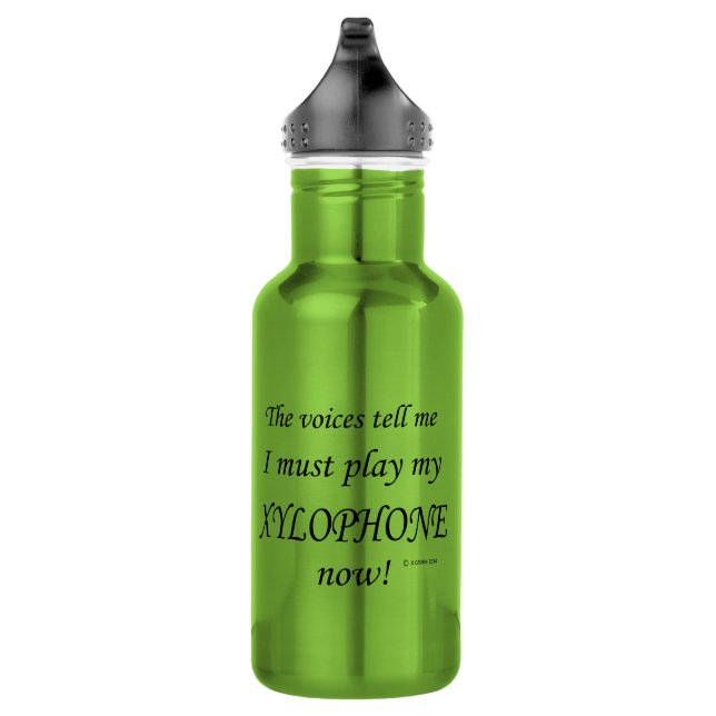 Xylophone Voices Say Must Play Stainless Steel Water Bottle (Right)