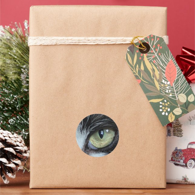 Xylo's Eye Stickers (Holiday)