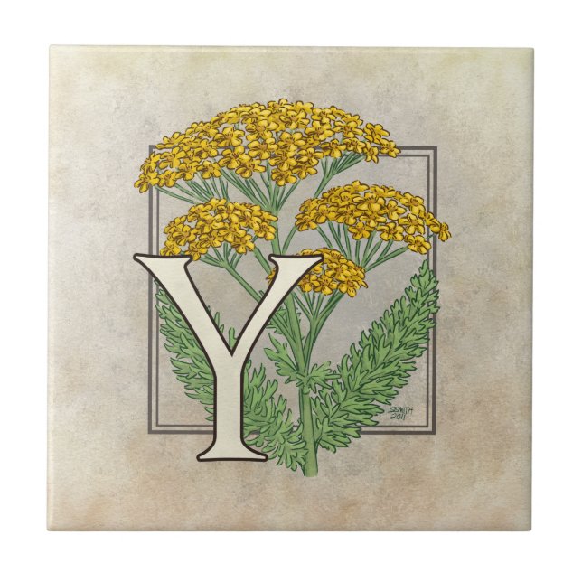 Y for Yarrow Flower Floral Monogram Art Tile (Front)