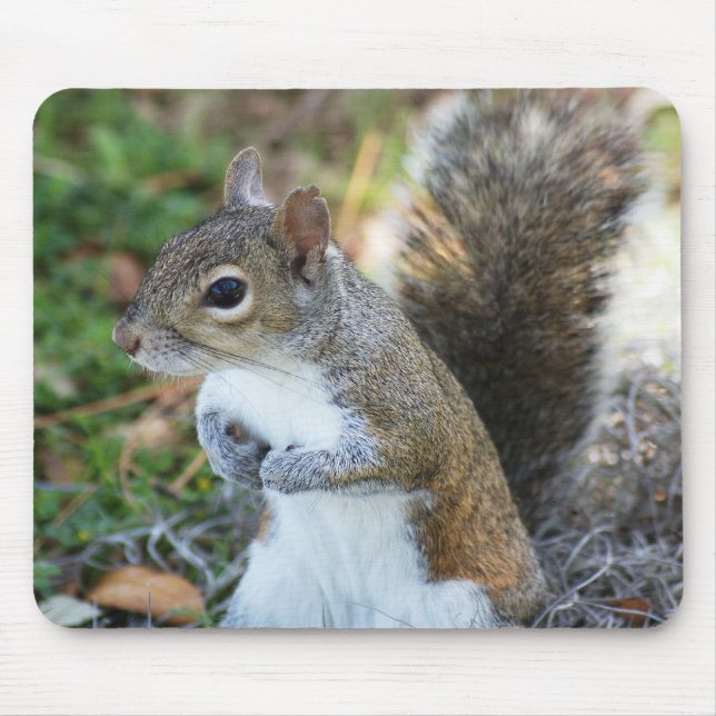 Ya Got Any Food? Mouse Pad (Front)