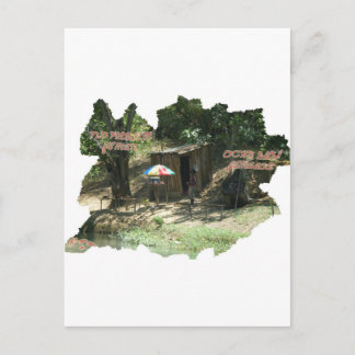 Ya Man ~ Ochos Rios Jamaica Postcard
