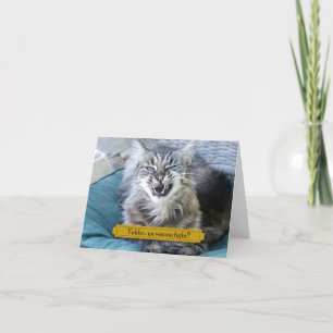 Ya wanna fight? funny cat letterpress thank you card