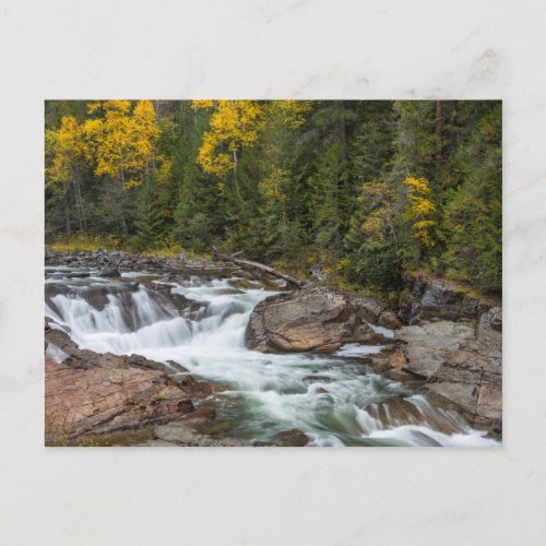 Yaak Falls In Autumn In The Kootenai National Postcard