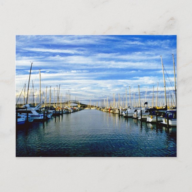 Yacht Club, Auckland Harbor, North Island Postcard (Front)