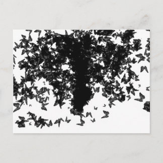 yaie black swallowtail butterfly postcard