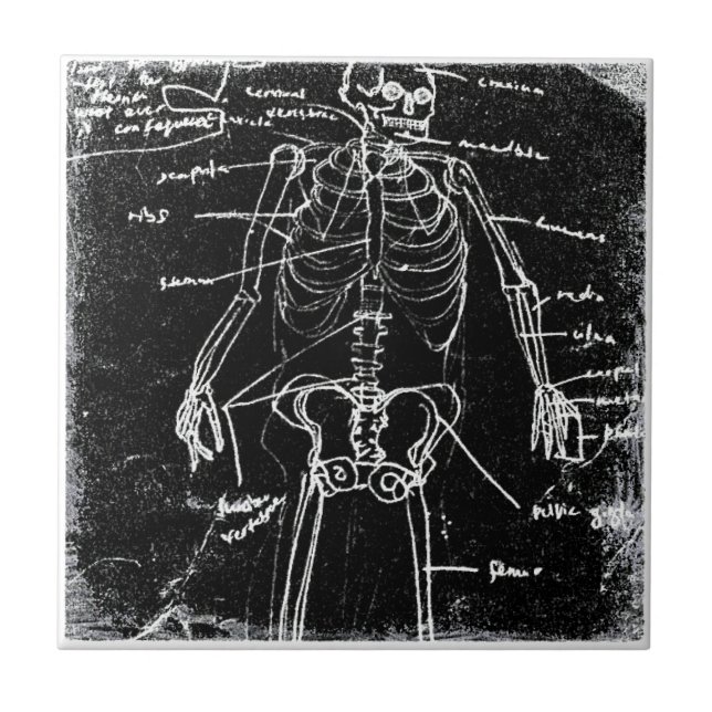 yaie tokyo human skeleton anatomy ceramic tile (Front)