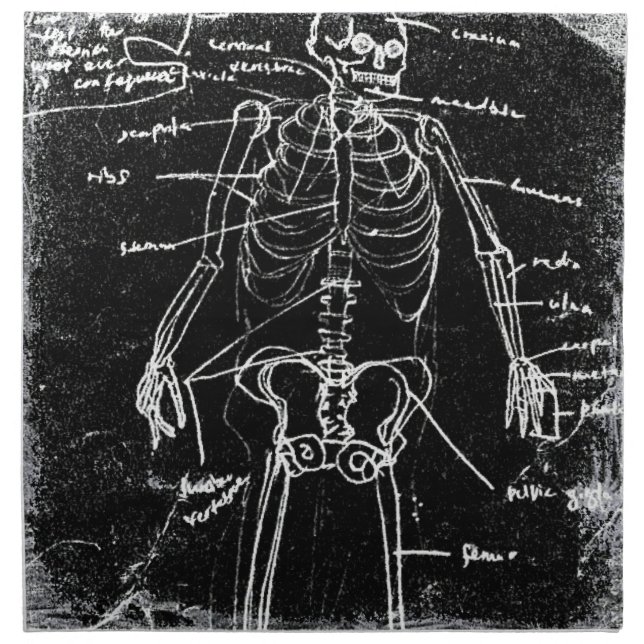 yaie tokyo human skeleton anatomy cloth napkin (Front)