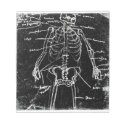 yaie tokyo human skeleton anatomy