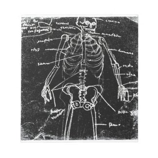 yaie tokyo human skeleton anatomy notepad
