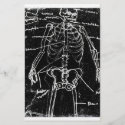 yaie tokyo human skeleton anatomy stationery