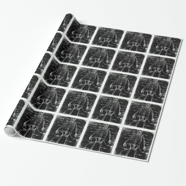 yaie tokyo human skeleton anatomy wrapping paper (Unrolled)