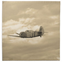 Yak 11 In Flight