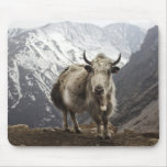 Yak In Nepal Mouse Pad at Zazzle