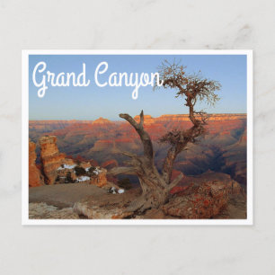 Yaki Point, Grand Canyon Arizona Postcard