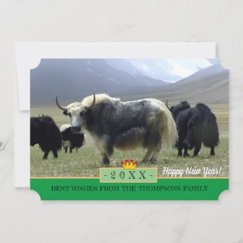 Yaks  Happy New Year Card  Himalayas Tibet