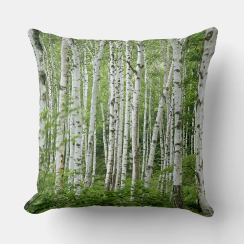 Yakumo_mura Nagano Prefecture Central Honshu Throw Pillow