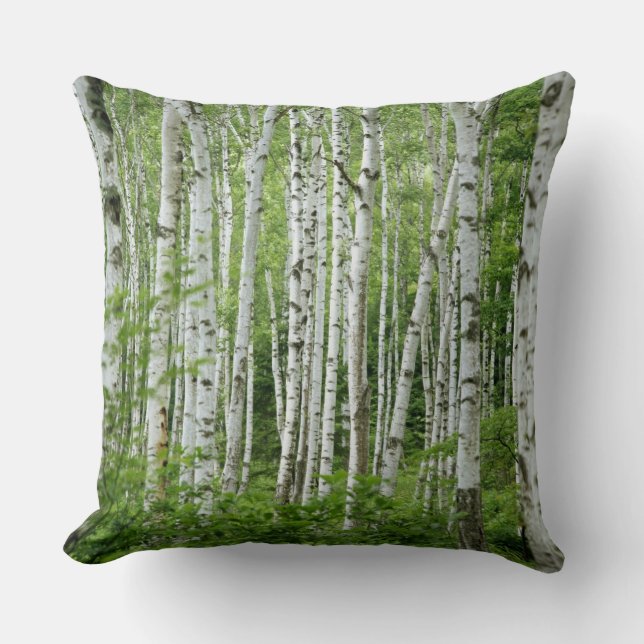 Yakumo-mura, Nagano Prefecture, Central Honshu Throw Pillow (Front)