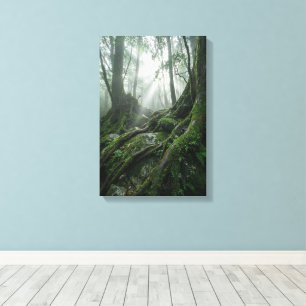 Yakushima 'Breath of Life'   Ancient Biophilic Canvas Print