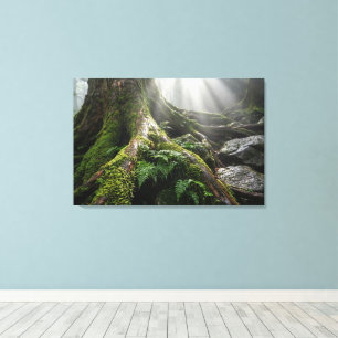 Yakushima Moss Forest 'Breath of Life'   Biophilic Canvas Print