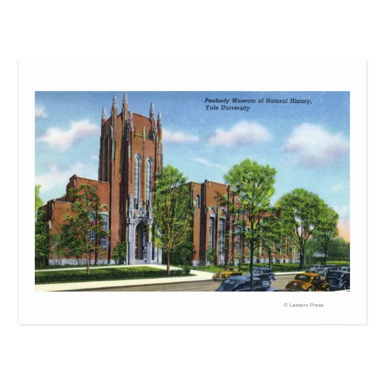 Yale U Peabody Museum of Natural History Postcard