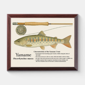 Yamame Art Print – Wood Plaque Edition