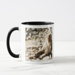 Yamanouchi, Chubu, Nagano Prefecture, Japan 2 Mug