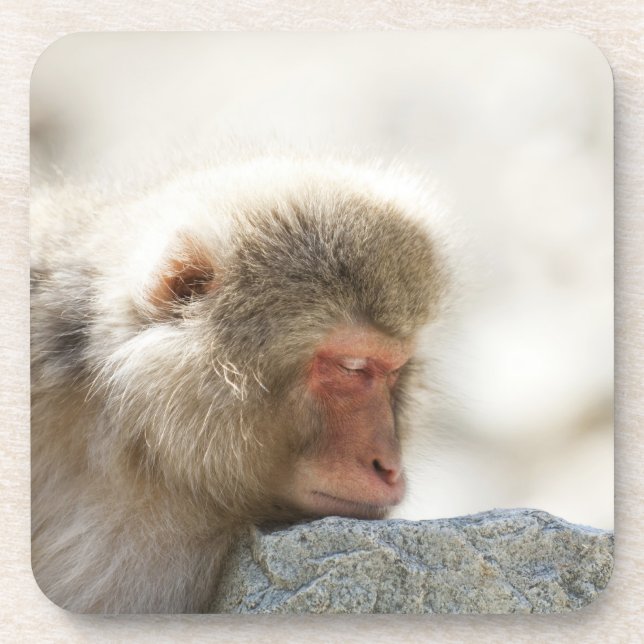 Yamanouchi, Chubu, Nagano Prefecture, Japan Beverage Coaster (Front)