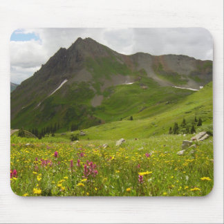 Yankee Boy Basin, Colorado Mouse Pad