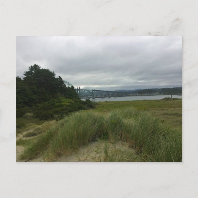 Yaquina Bay, Newport, Oregon Postcard (Front)